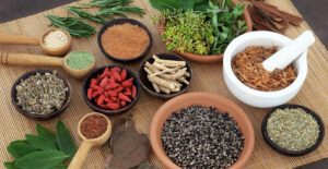Basic Foundation Course on Wellness in Ayurveda